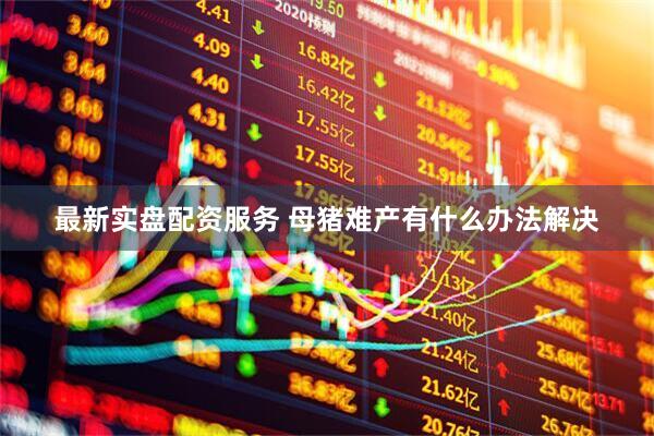 最新实盘配资服务 母猪难产有什么办法解决